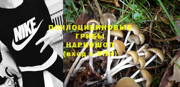 молекула духа Абдулино